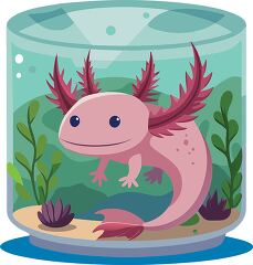 pink axolotl swims happily in a large tank with plants and sand