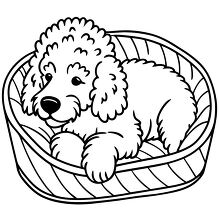 poodle dog resting in a dog bed black outline