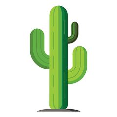 saguaro cactus isolated on the white background