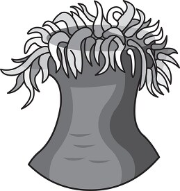 sea anenome black outline clipart 38