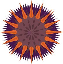 sea urchin with orange and dark blue spikes