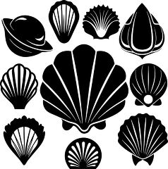 set of black silhouette seashells in varying sizes and shapes