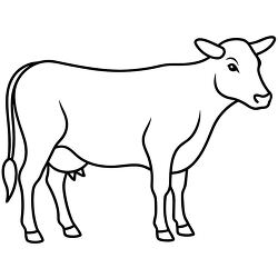 simple line illustration of a farm cow black outline clipart