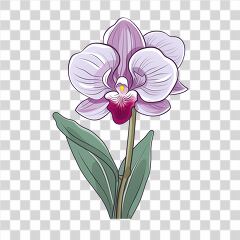 Simple Orchid Flower Drawing With Green Leaves