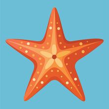 simple vector of an orange starfish decorated with dots