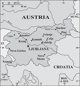 Slovenia country map gray color