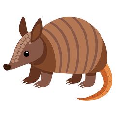 small armadillo with a brown and striped shell