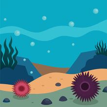 the ocean floor with purple sea urchins