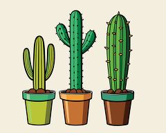 three shaped desert cacti in individual colorful pots