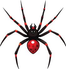 vector illustration of a spider with a black body and red spots