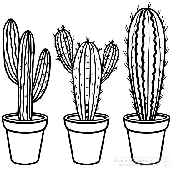  three potted spiny cacti black outline coloring page