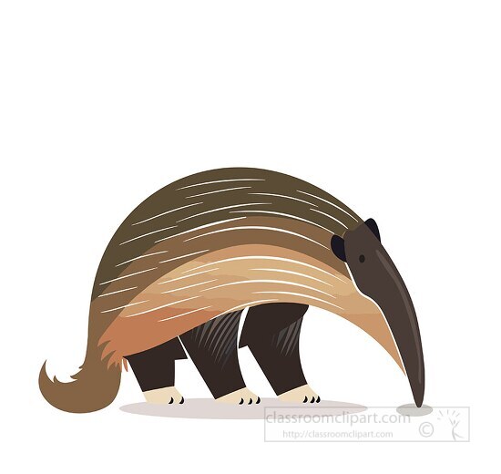 anteater with long snout and sticky tongues