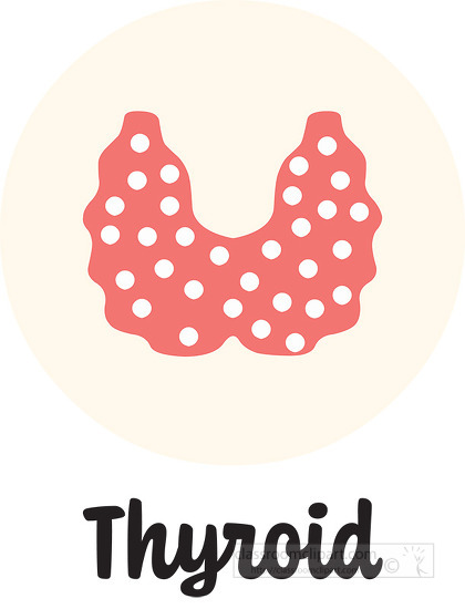 antomy human bodythyroid icon clipart