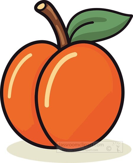 apricot with leaf and stem clip art