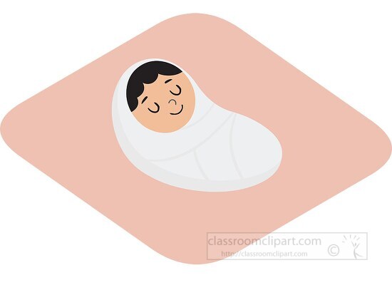 baby wrapped up in a blanket gray color clip art