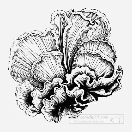 barnacle black outline printable clip art