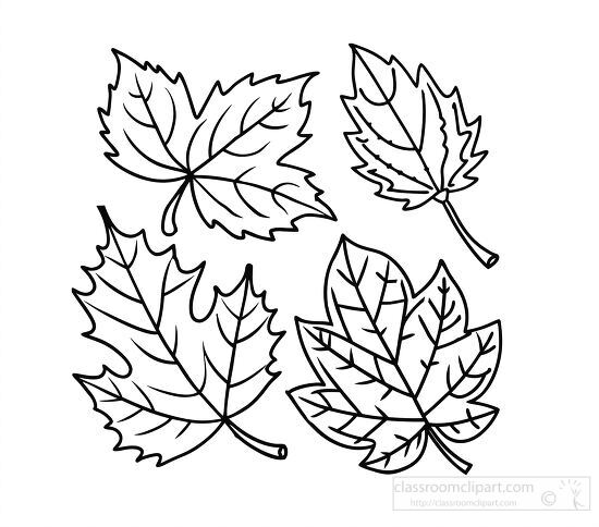 black and white coloring sheet featuring different styles of autumn leaves clipart