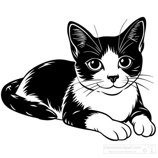 Black and white drawing of a cat