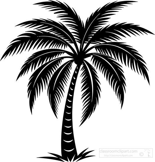 black and white silhouette of a palm tree