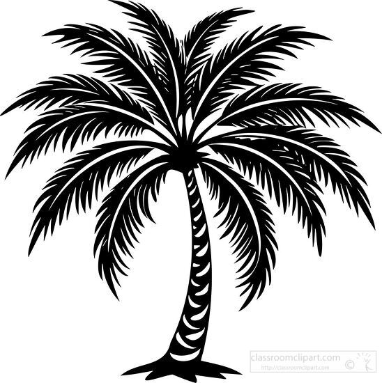 black silhouette of a palm tree