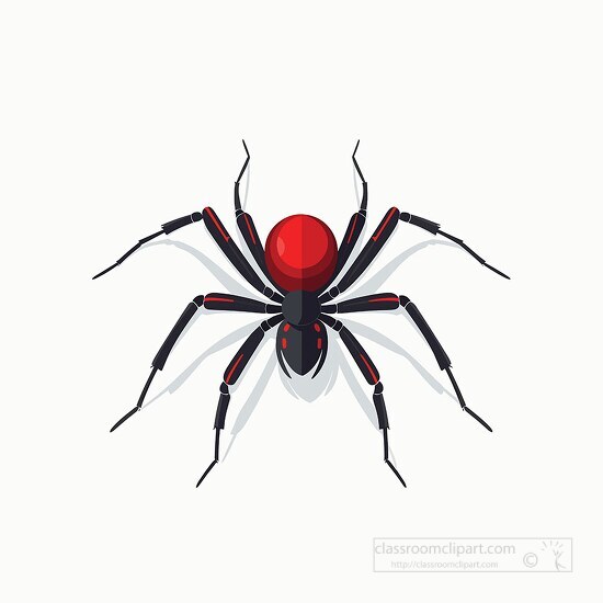 black widow spider with red hour glass