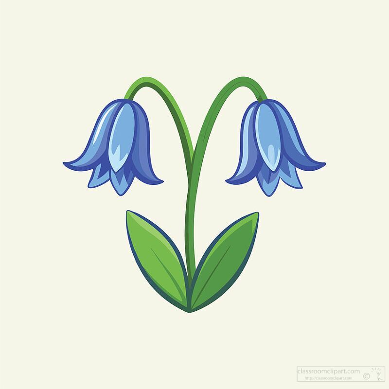 blue bell flower illustration