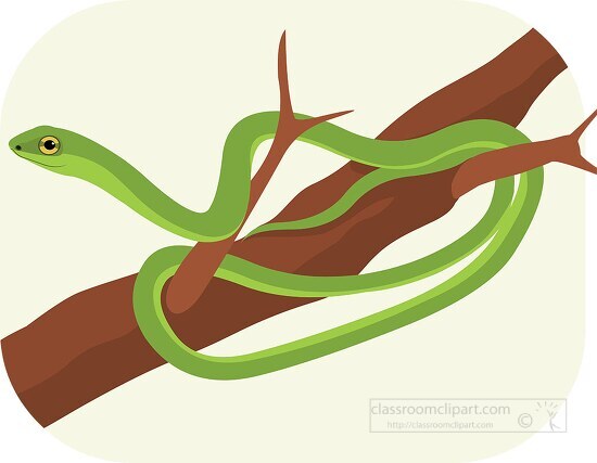 Boomslang pit viper highly venomous snake Clipart