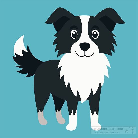 Border Collie dog with big eyes cartoon style