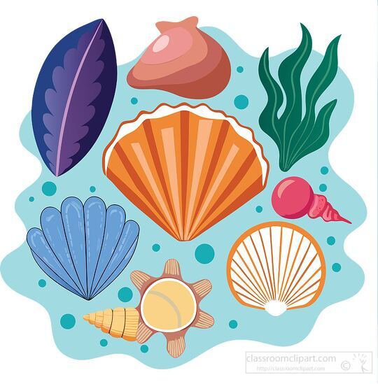 bright and cheerful collection of seashells and marine life