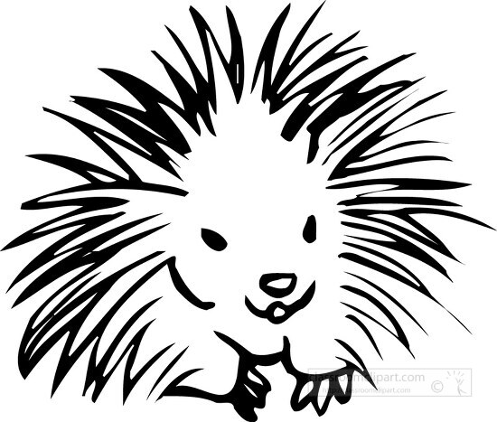 bristling porcupine outline printable clip art