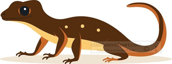 brown spotted newt with long tail