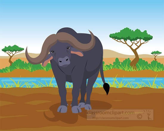 buffalo standinig along a tree lined river bank in africat