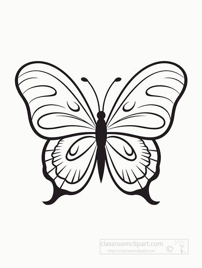 butterfly outline coloring printable clipart