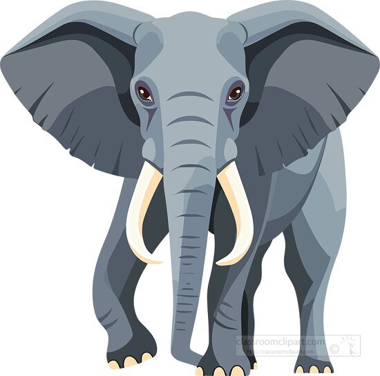 cartoon elephant stands facing forward with large prominent ears and long white tusks