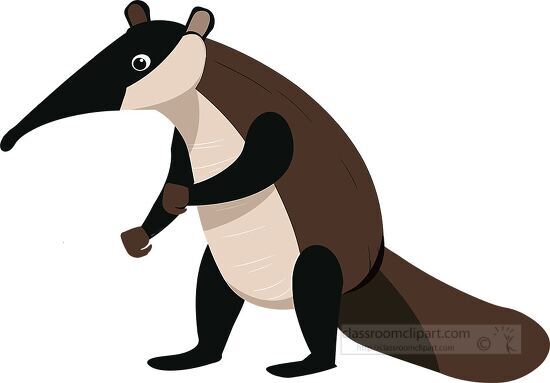 cartoon style clipart illustration of an anteater standing