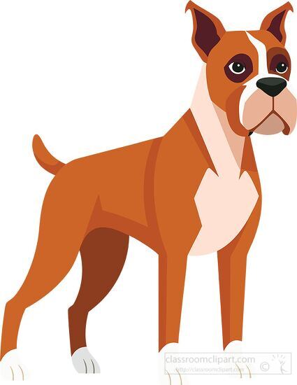 Cartoon style of a boxer dog standing looking playful