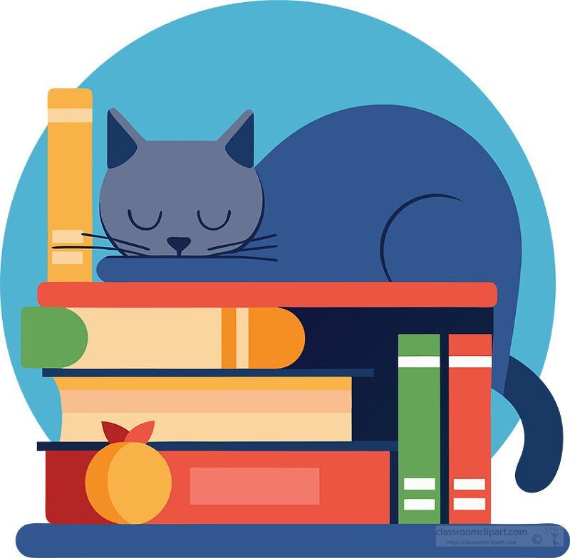 cat napping on a bookshelf