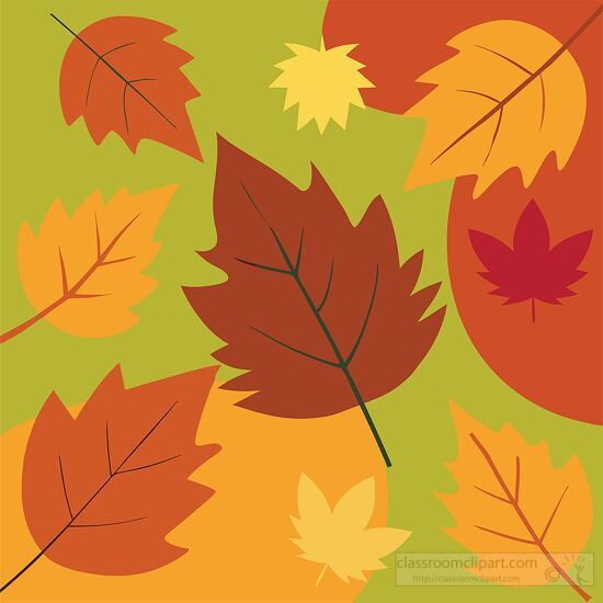 collection of colorful autumn leaves in shades of orange yellow 