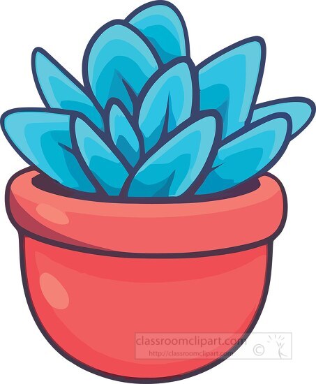 colorful bright succulent plant