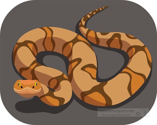 Copperhead venomous snake pit viper Clipart