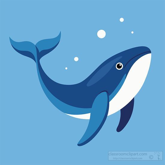 cute blue whale swimming happily in the ocean