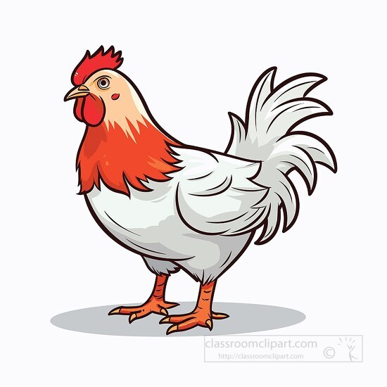 cute cartoon style red head chicken