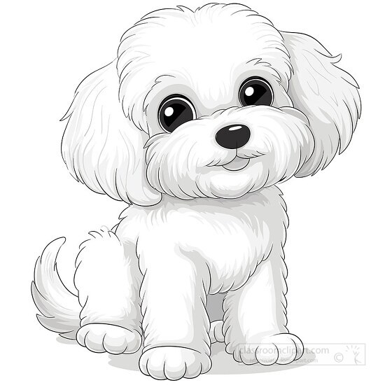 cute friendly bichone frise dog