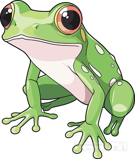 cute green amphibian tree frog