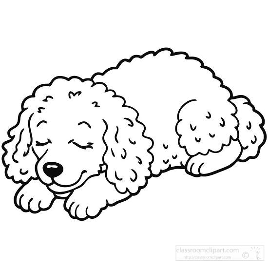 cute poodle dog sleeping black outline