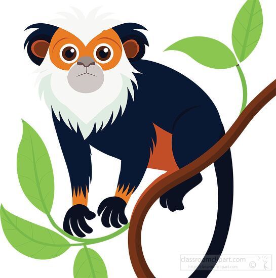 cute white bearded tamarin monkey clipart