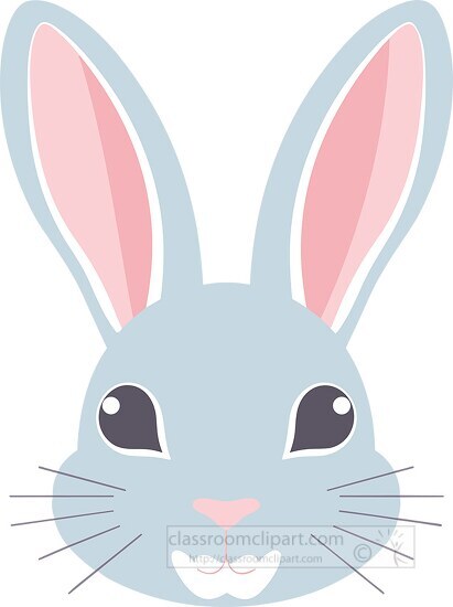 cute whte rabbit animal face