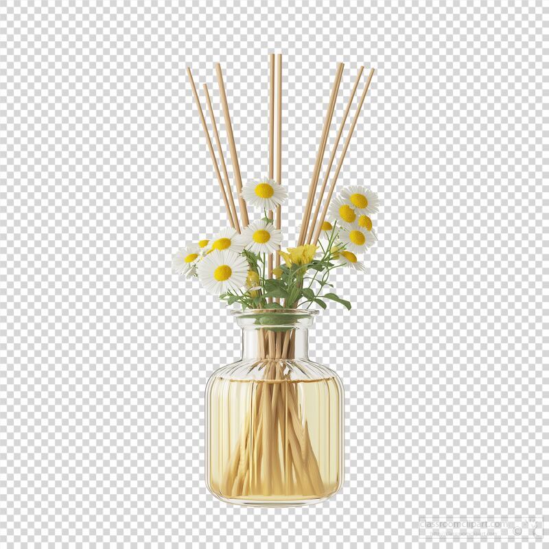 Diffuser With Daisies and Reeds in a Glass Vase