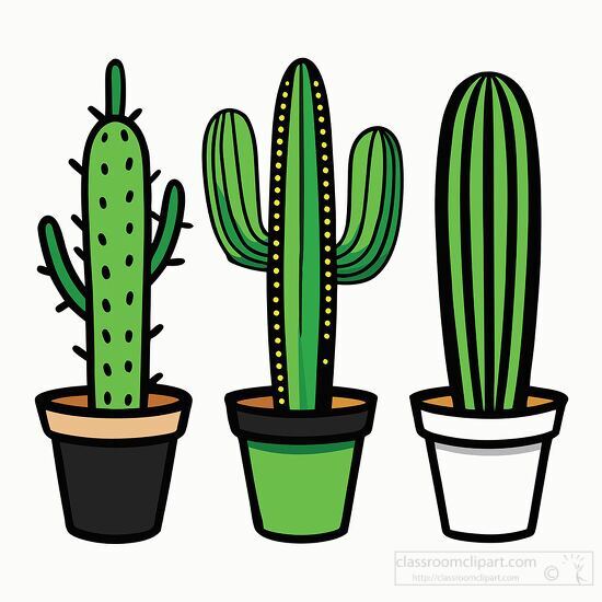 drawing of three potted cacti in colorful pots