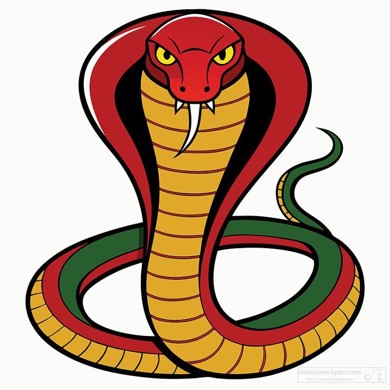 fierce cobra with red and green patterns and sharp fangs flares 